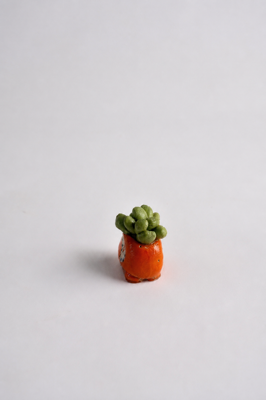 Elephant Clay Mini Succulent