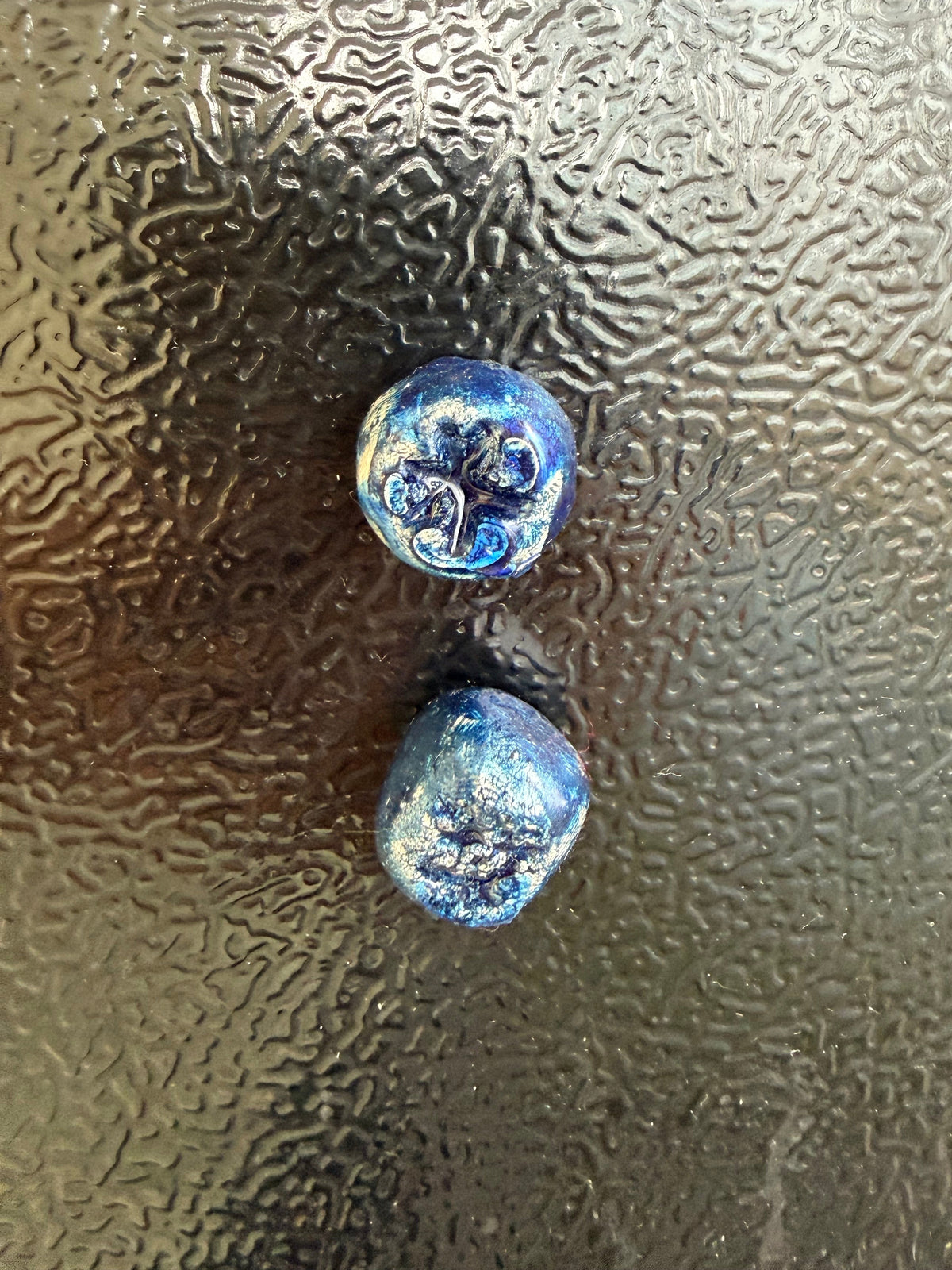Blue berry fridge magnet