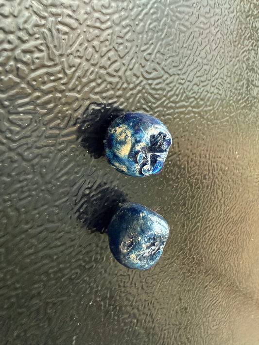 Blue berry fridge magnet