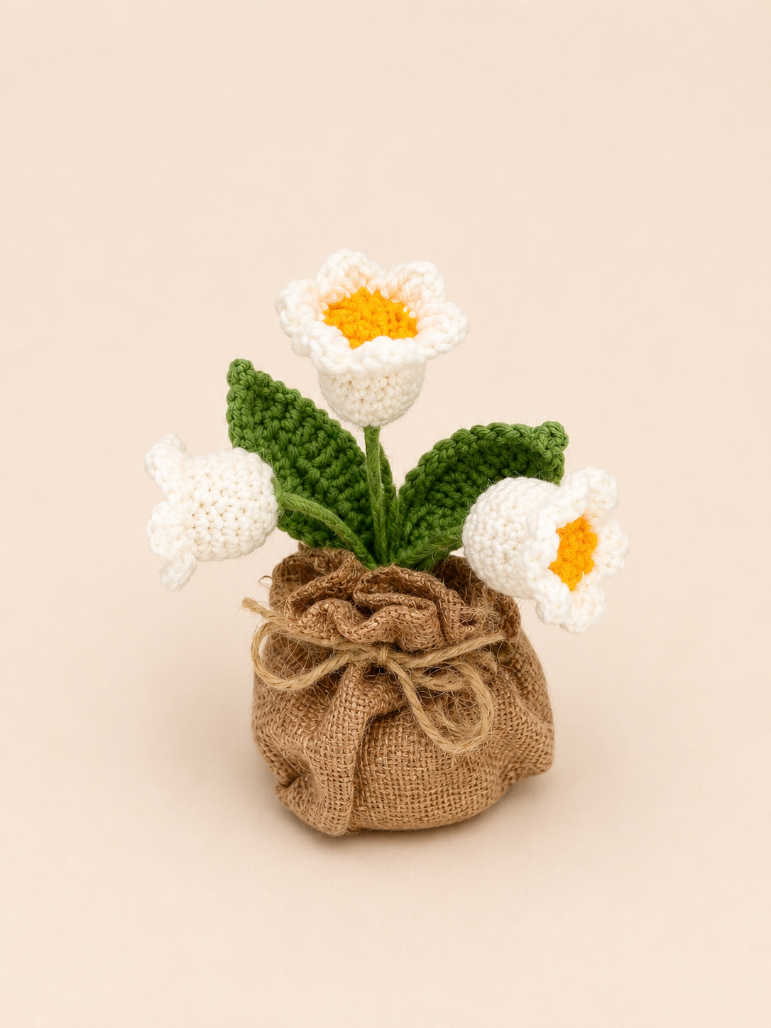 White Bluebells Flower Pot
