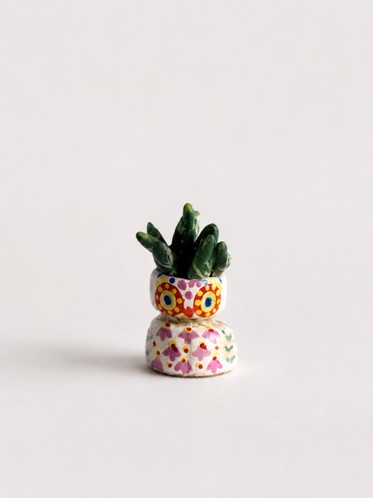 Owl Clay Mini Succulent