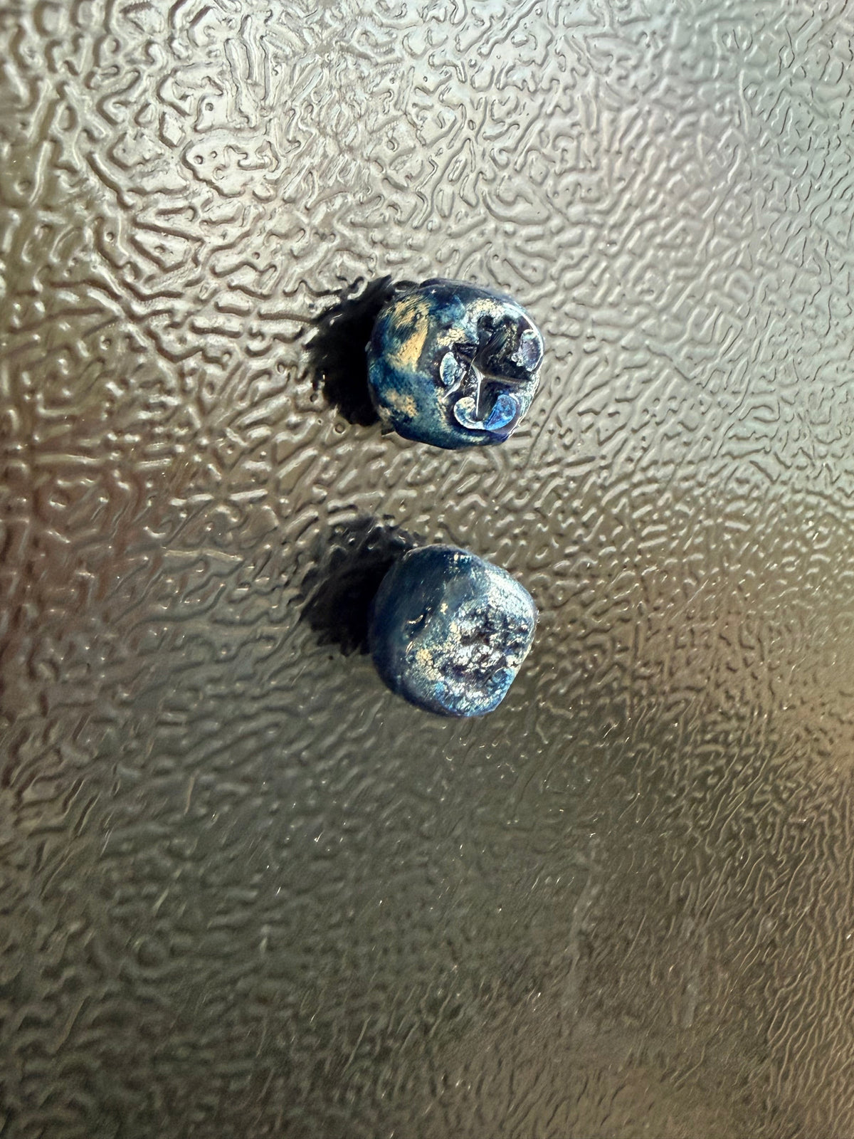 Blue berry fridge magnet