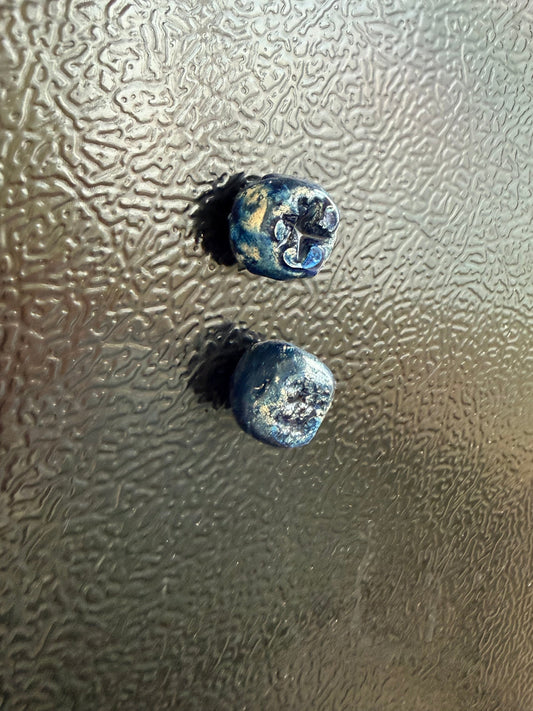 Blue berry fridge magnet